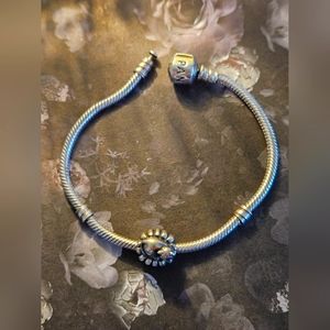 Pandora bracelet with cat charm! ✨😺